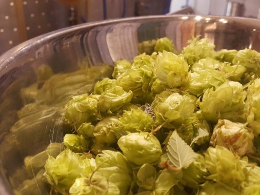 Brewing101