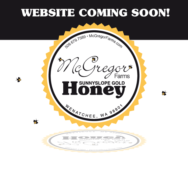 Why-Honey-Bees-Matter