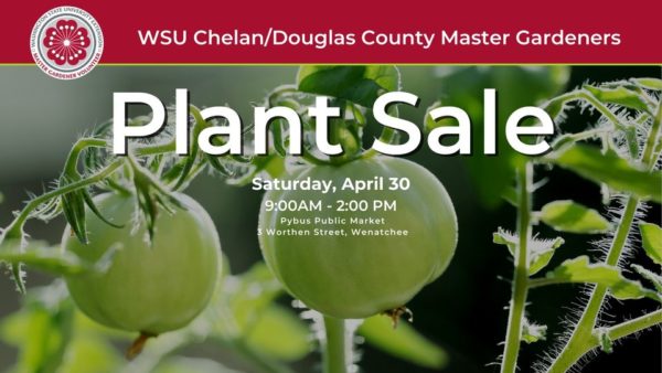 2022 WSU Master Gardeners Plant Sale