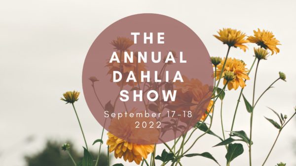 Annual Dahlia Show