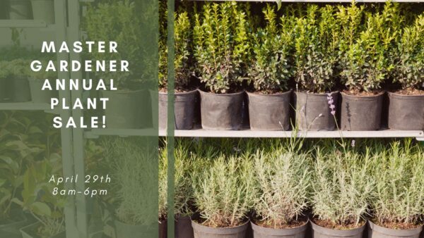 Master Gardeners Annual Plant Sale!