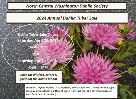 North Central Washington Dahlia Society: Tuber Sale