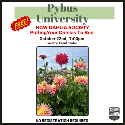 Pybus University - Putting Your Dahlia's To Bed