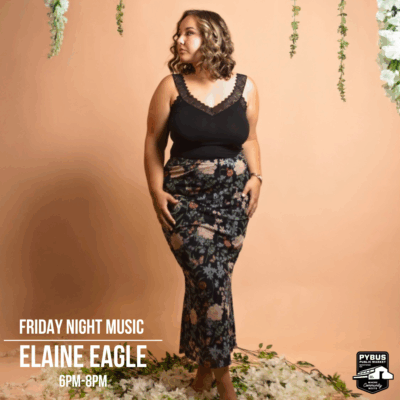 Friday Night Music - Elaine Eagle